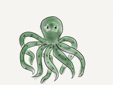 octopus